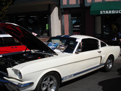 Oak Bay Car Festival 1966 Shelby MustangGT 350